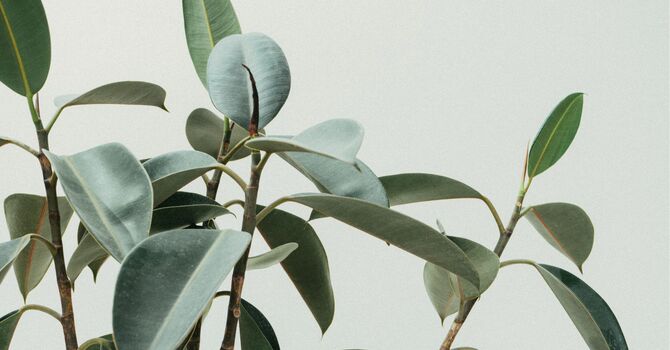 Frequency Specific Microcurrent